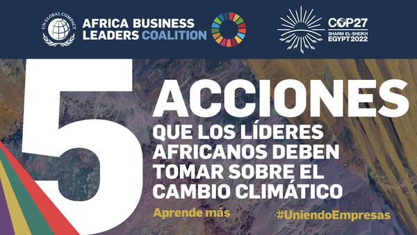 COP 27: 5 acciones que líderes empresariales en África deben tomar sobre el cambio climático
