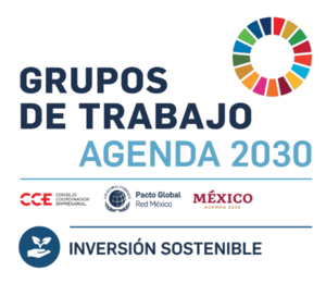 Registra tu interés en participar en el Grupo de Trabajo Agenda 2030 | Inversión Sostenible
